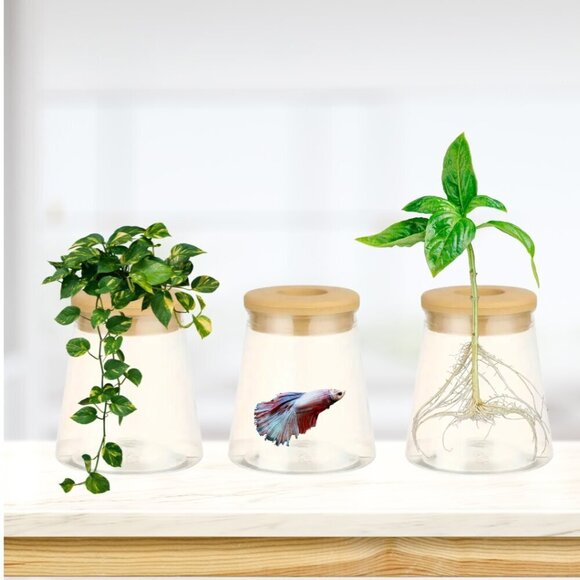 Plant Propagation Vase X 3 Hydroponic Aquaponic Beta Fish NWT - Picture 1 of 3